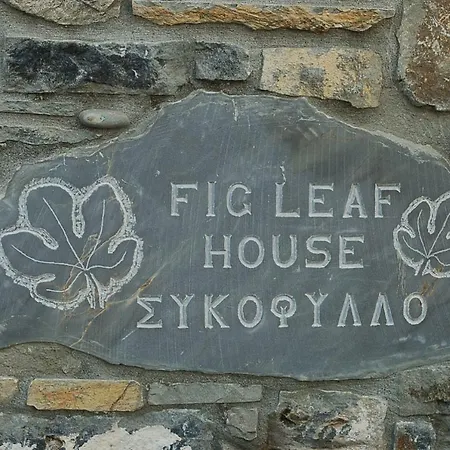 Fig Leaf House Dom wakacyjny